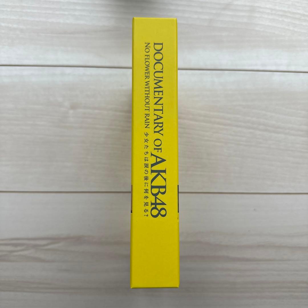 DOCUMENTARY OF AKB48 少女たちは涙の後に何を見る？