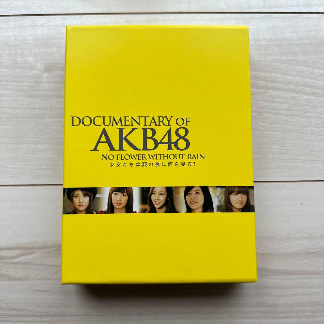 DOCUMENTARY OF AKB48 少女たちは涙の後に何を見る？