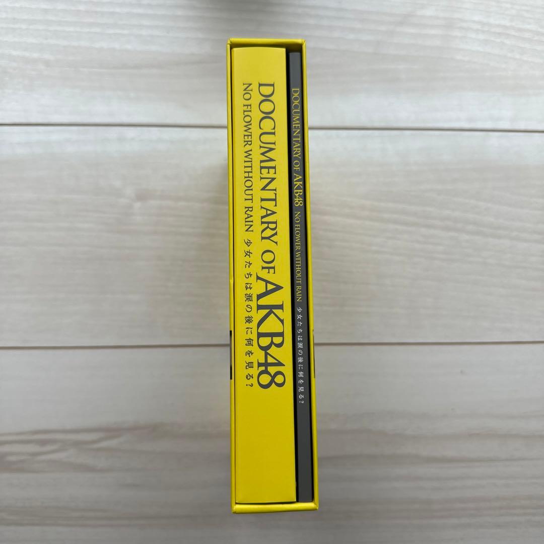 DOCUMENTARY OF AKB48 少女たちは涙の後に何を見る？