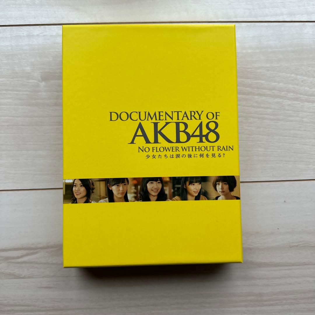 DOCUMENTARY OF AKB48 少女たちは涙の後に何を見る？