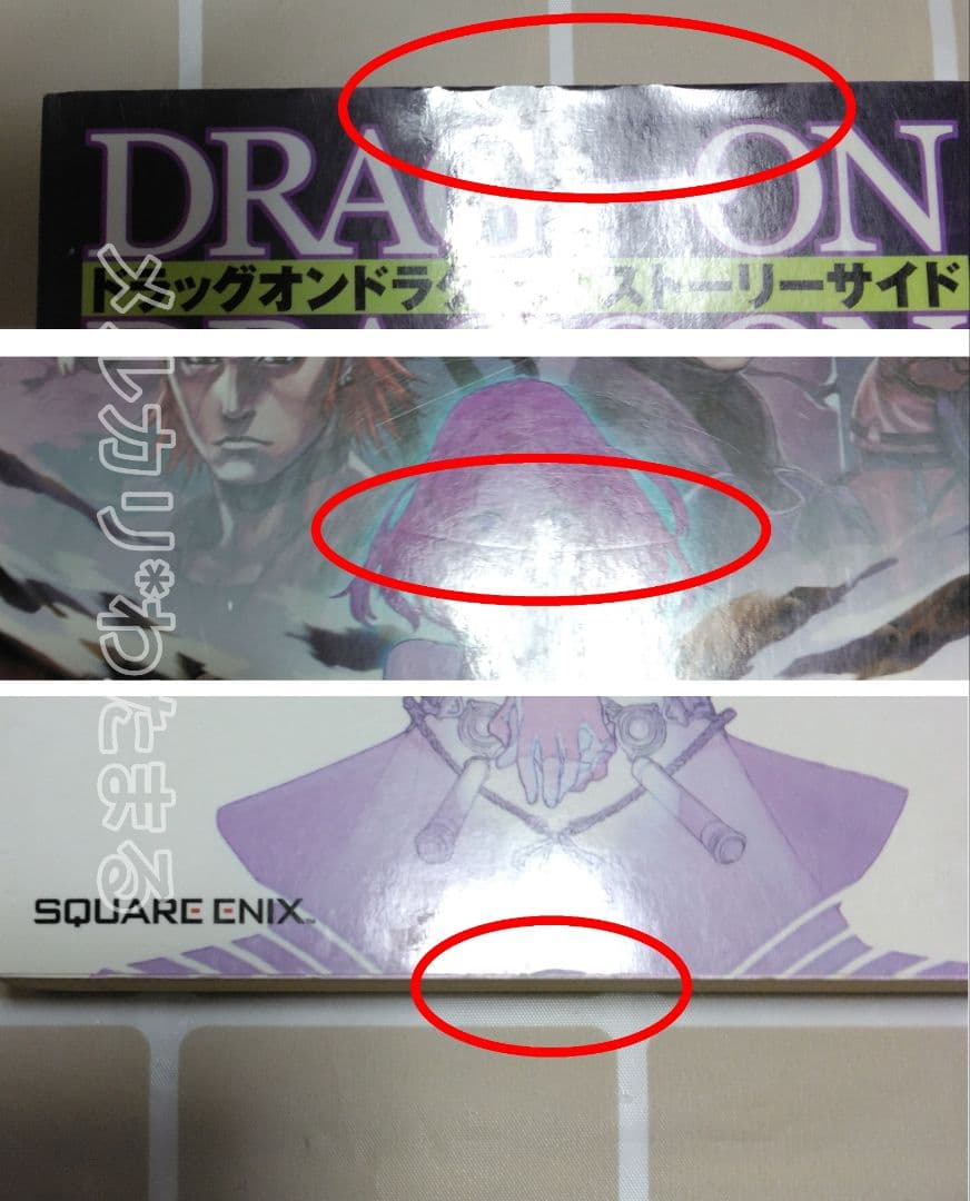 文学・小説 DRAG-ON DRAGOON Story Side