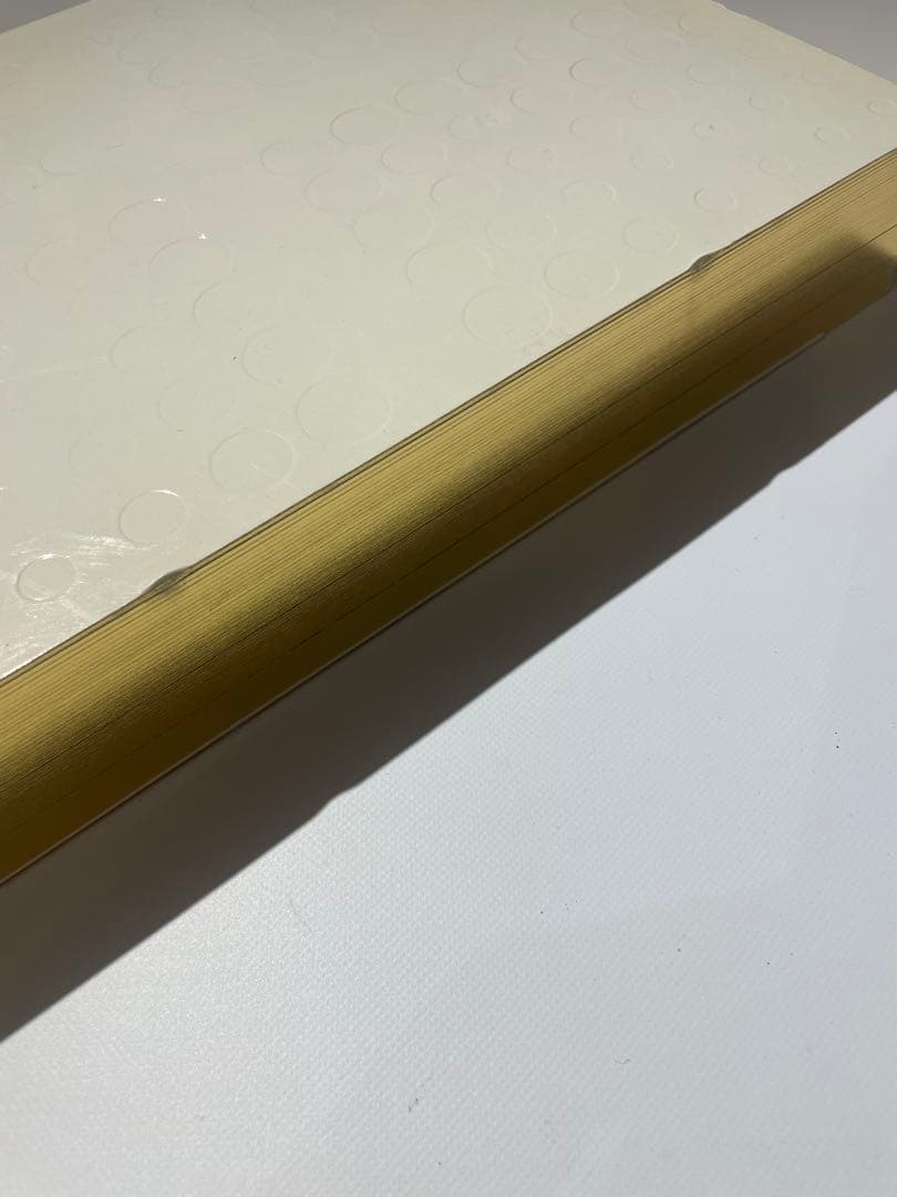 VISIONAIRE 28 本　ヴィジョネア　フィリップスタルクデザインケース