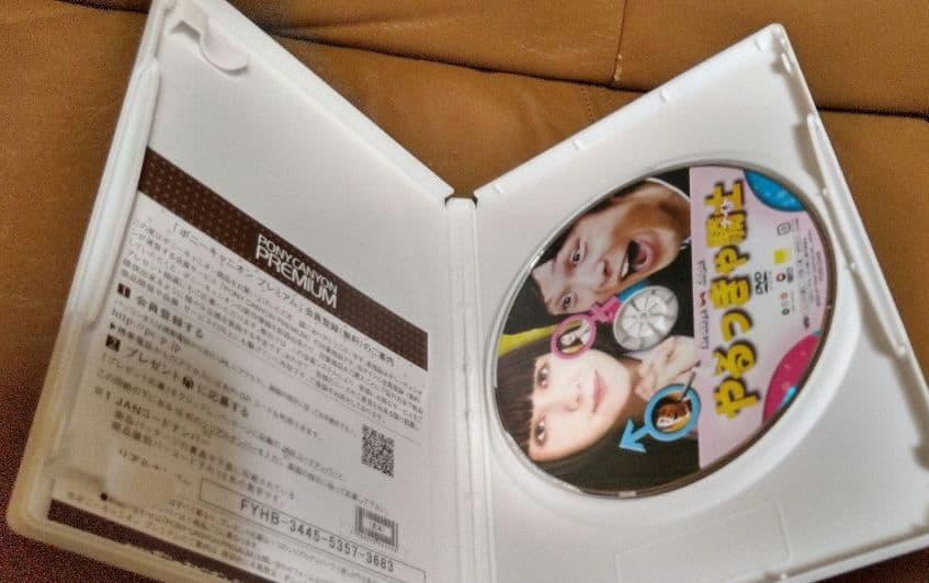 DVD◎やるっきゃ騎士/中村倫也 遠藤新菜