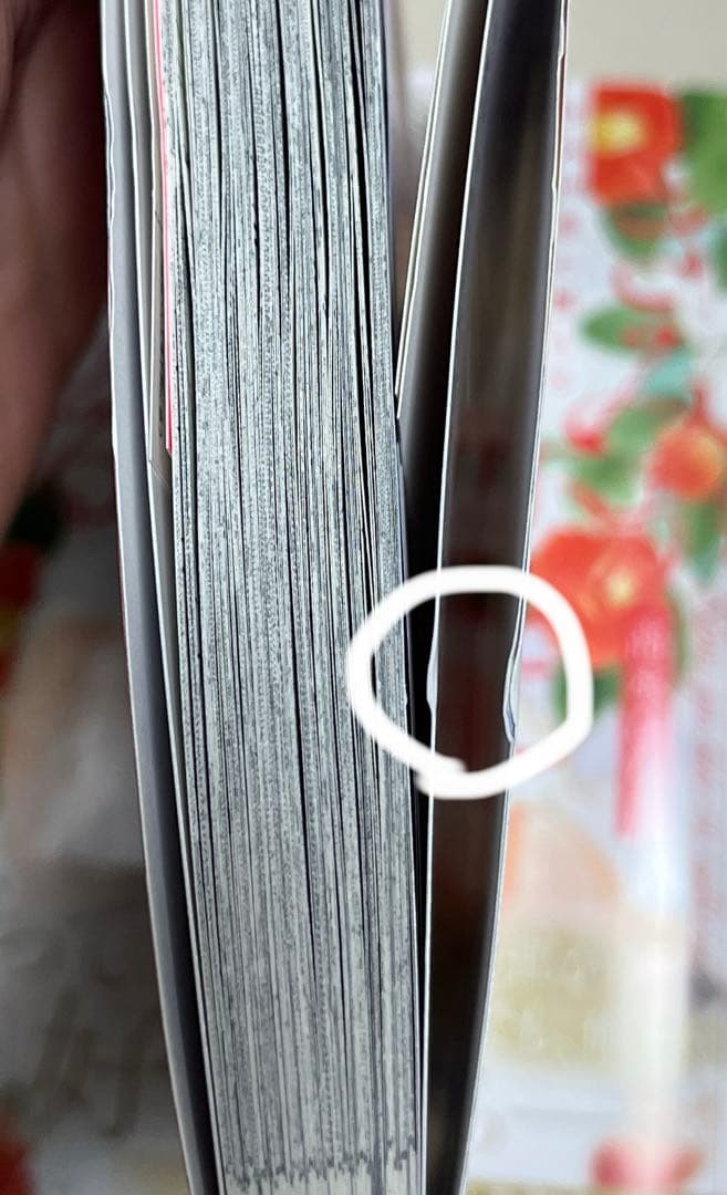 おれの癒しのぽっちゃりくん　　富塚ミヤコ 不惑近くして年下男に惑う　　桜井りょう