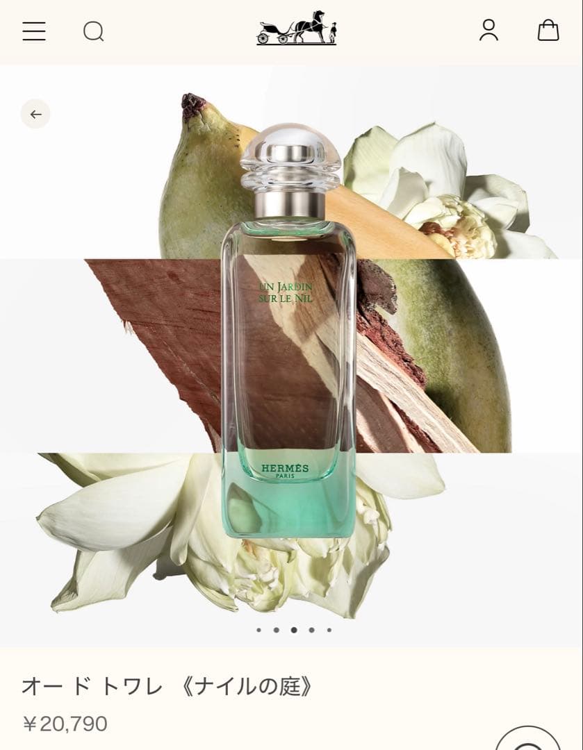 エルメス　ナイルの庭 オードトワレ　100ml 新品未使用