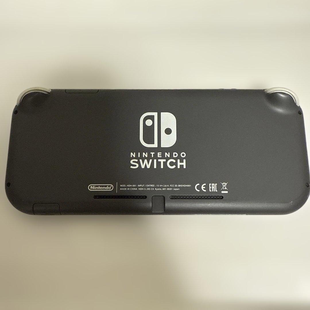 専用　Nintendo Switch Lite グレー 本体 ACアダプター付き