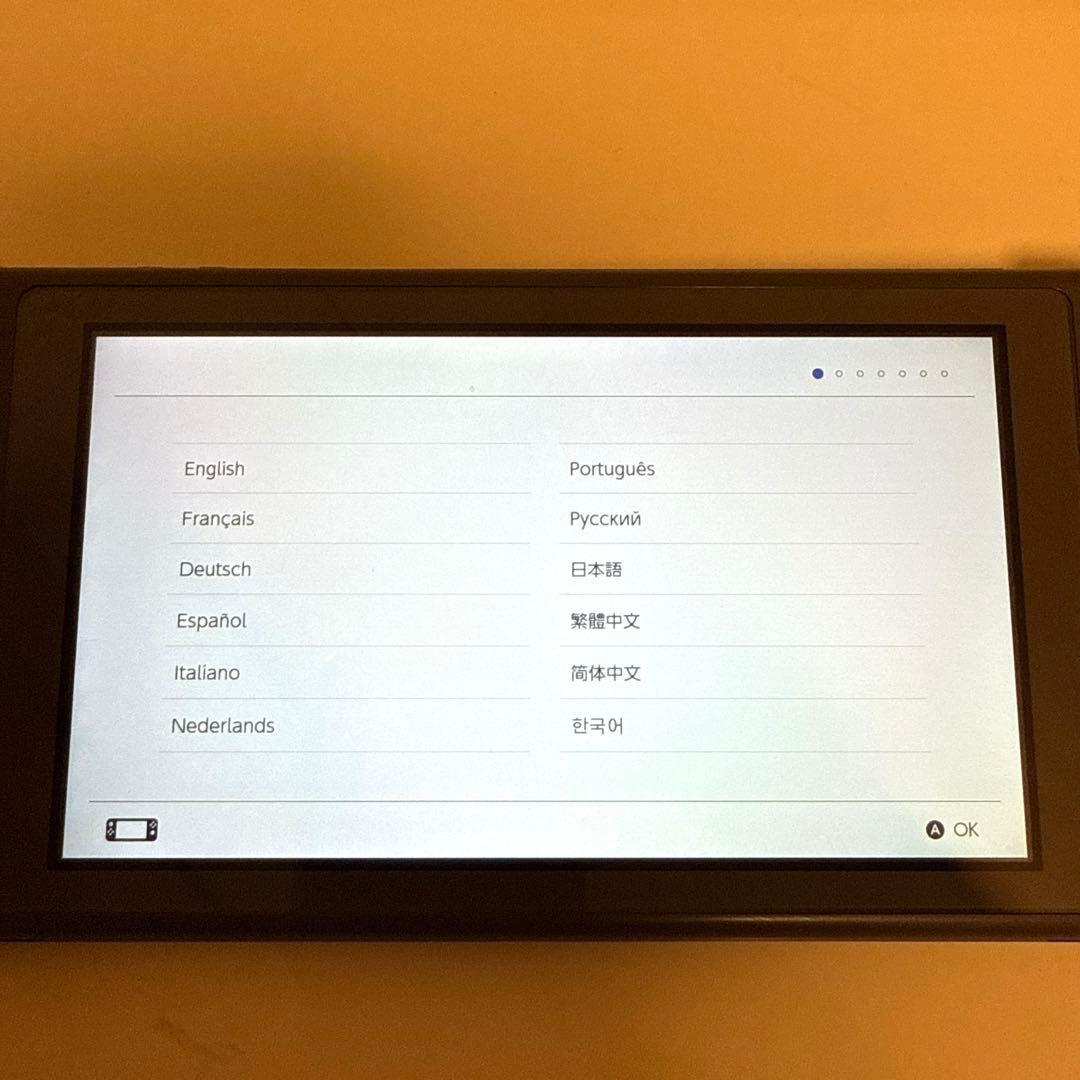 専用　Nintendo Switch Lite グレー 本体 ACアダプター付き