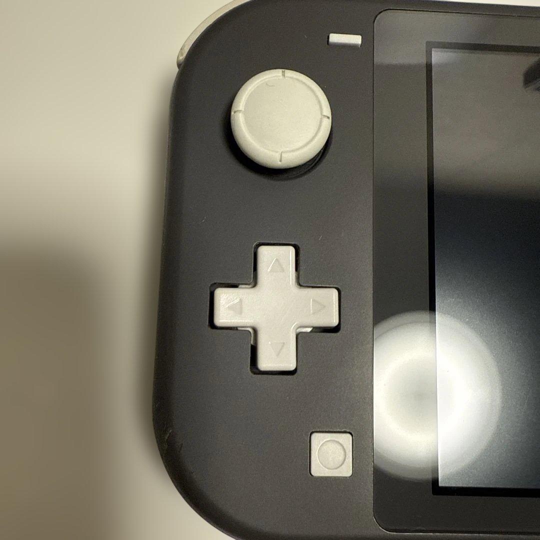 専用　Nintendo Switch Lite グレー 本体 ACアダプター付き