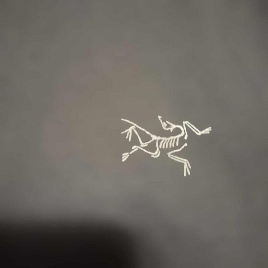 アークテリクス　モータスAR メンズ　長袖　ロングT S