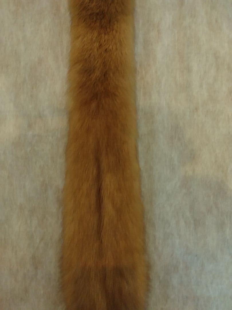 FOXEY ブティック　セーブルマフラー（ゴールド) シングル