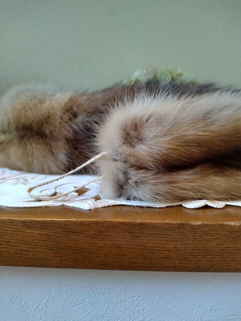 FOXEY ブティック　セーブルマフラー（ゴールド) シングル