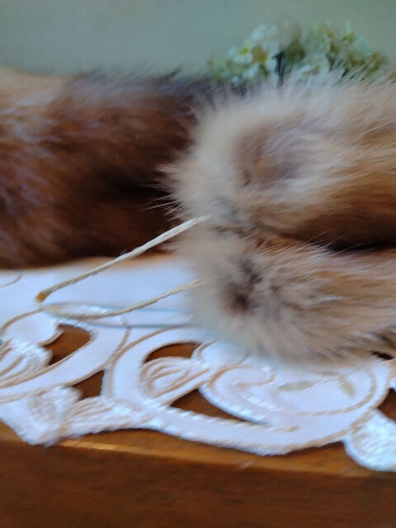 FOXEY ブティック　セーブルマフラー（ゴールド) シングル