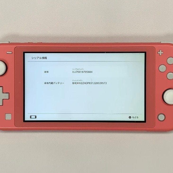 Nintendo Switch Lite 本体 動作品 2020