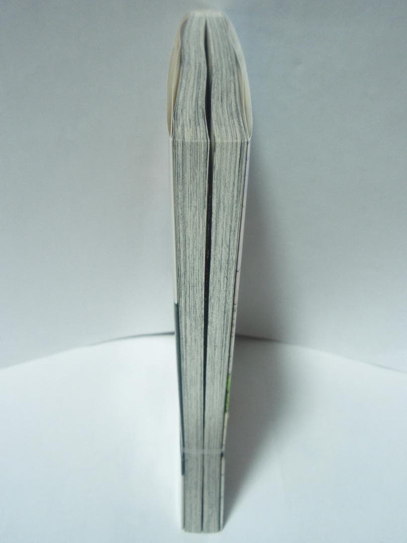 1巻 初版 帯付き チラシ2種完備 葬送のフリーレン フェルン シュタルク