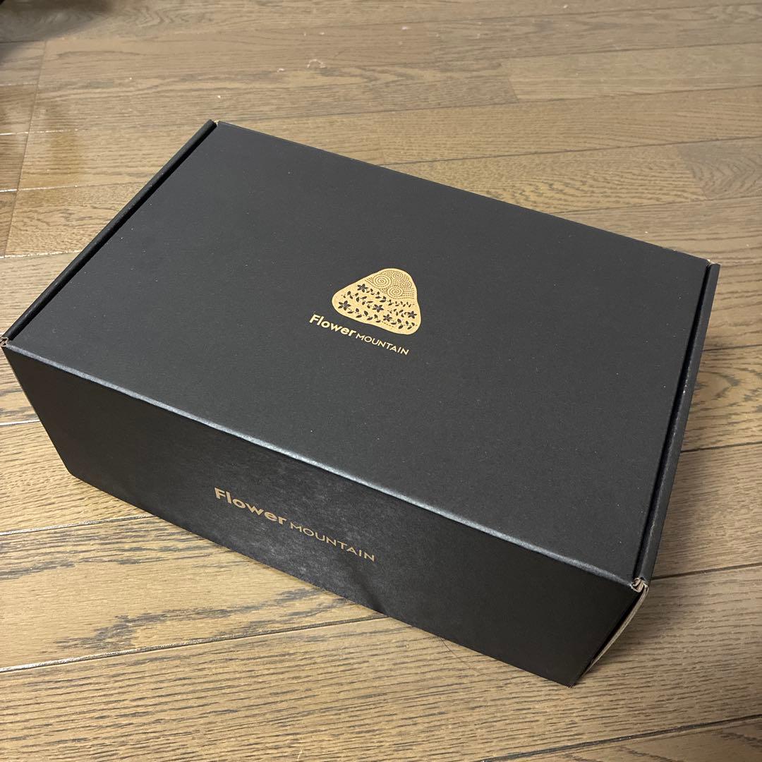 フラワーマウンテン スニーカー FM63153