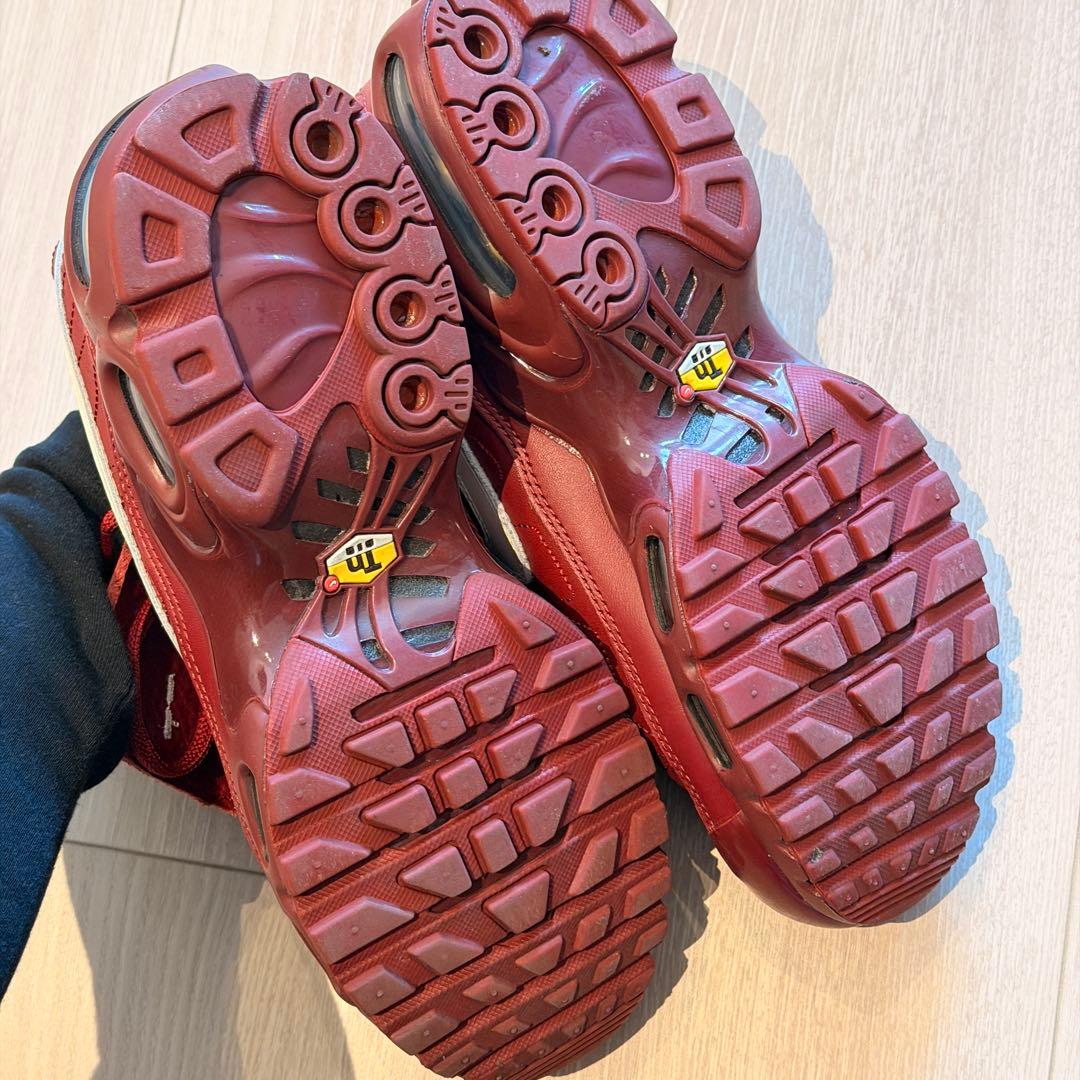 Nike air max plus tiempo ティエンポ