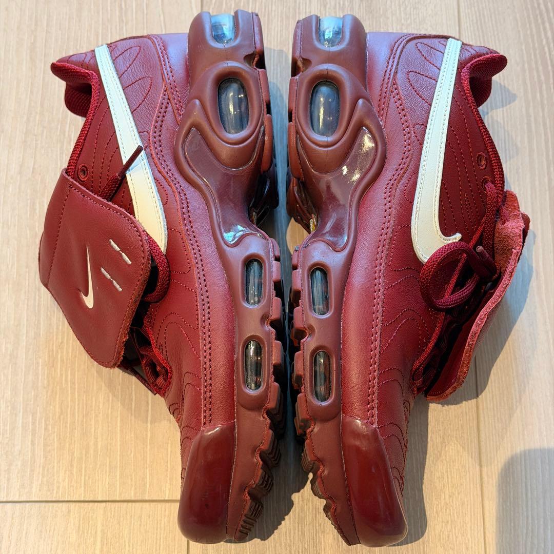 Nike air max plus tiempo ティエンポ
