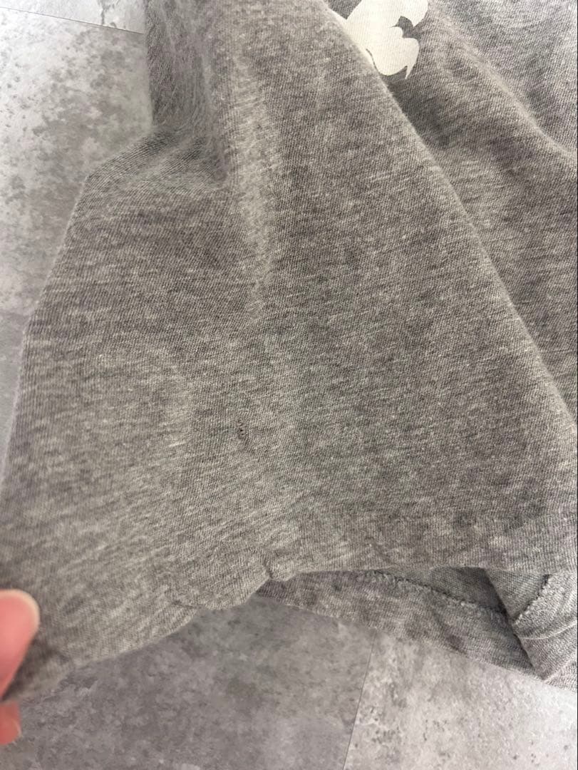 Dior Homme AW02 グリフィン　グレー　ロンT