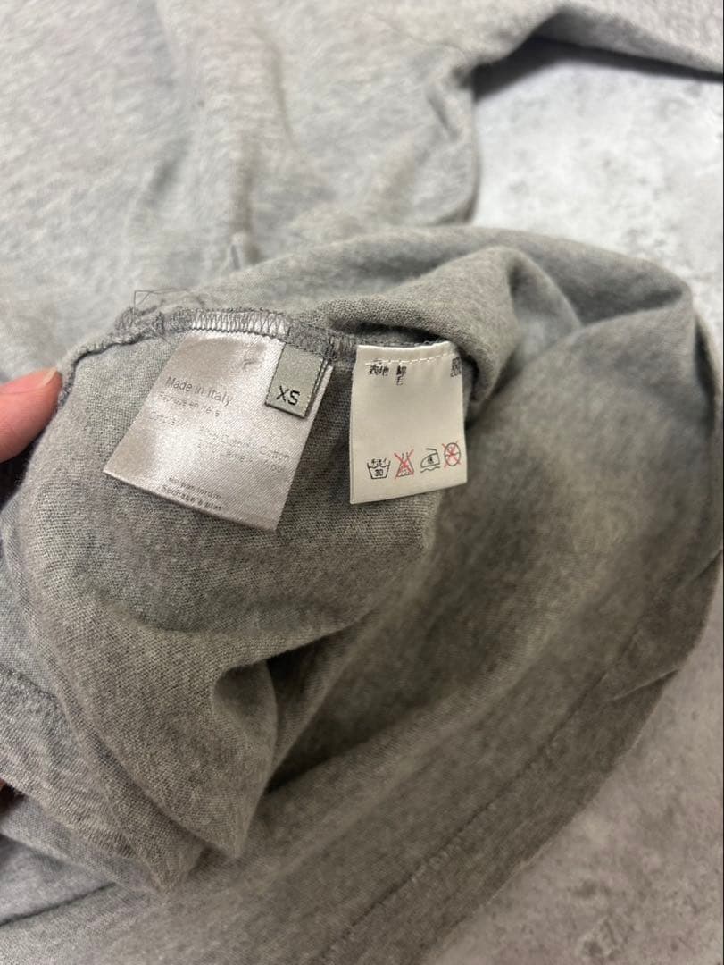 Dior Homme AW02 グリフィン　グレー　ロンT