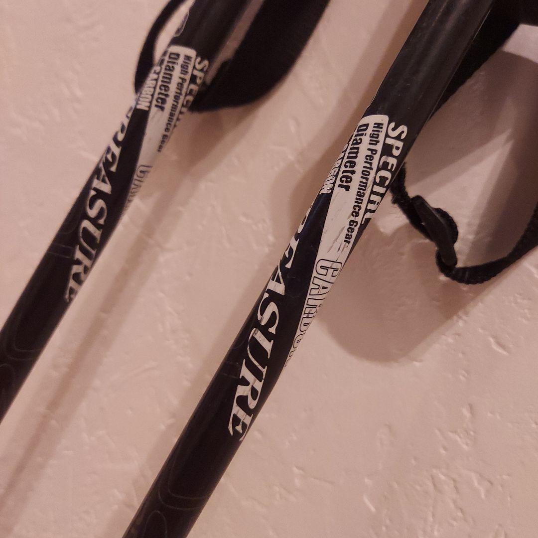 SALOMON verse10 170cm S710 カーボン製ポールセット