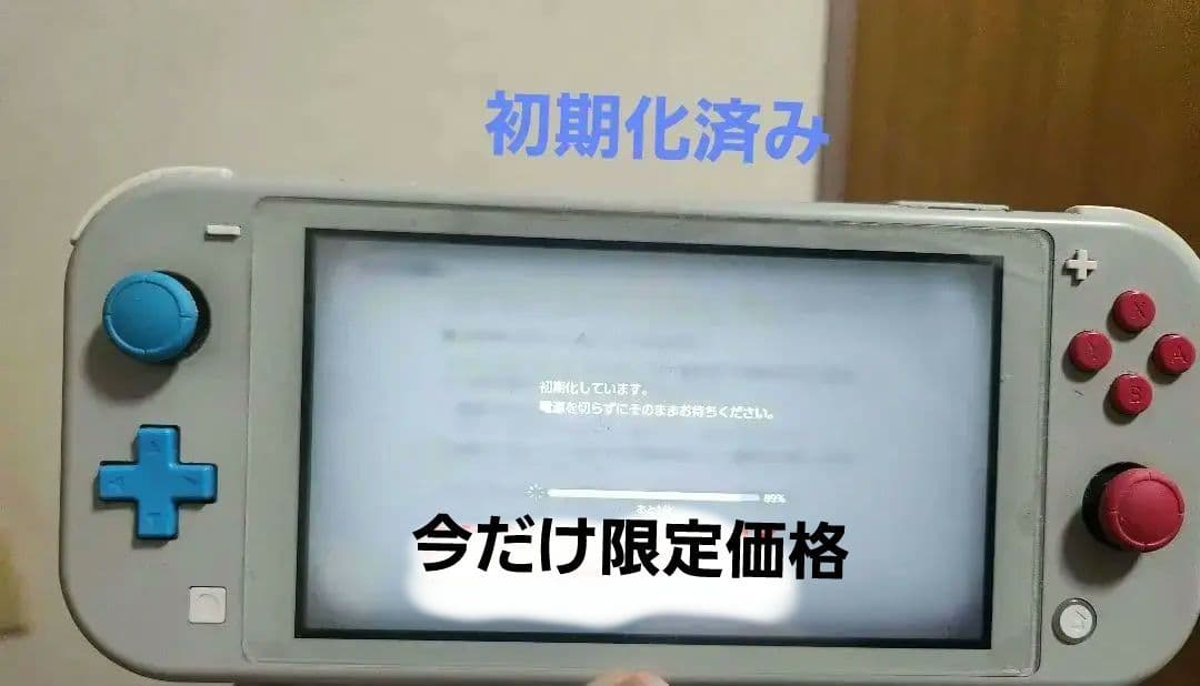 Nintendo Switch Lite 本体(グレー)&対応コントローラ