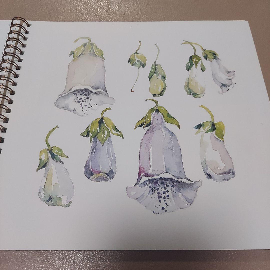 フレメカレンダー　2007年