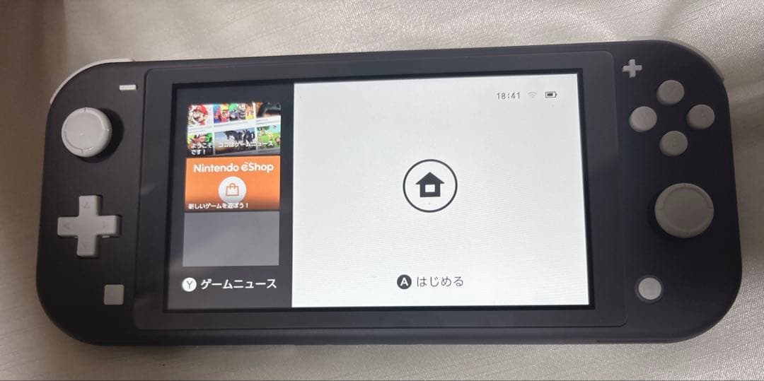 Nintendo Switch Lite グレー 本体、あつ森ソフト＋おまけ