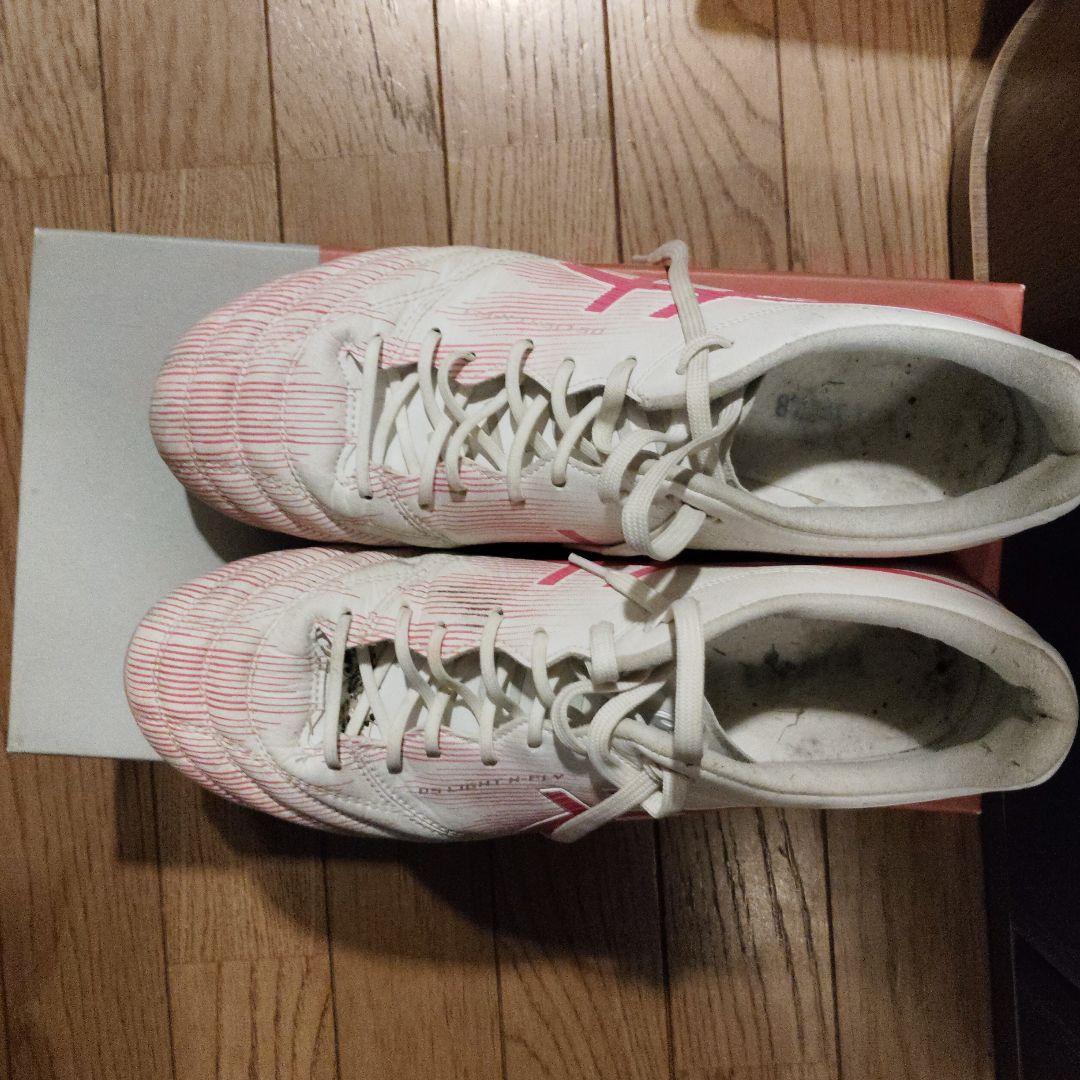 アシックスDS LIGHT X-FLY 5 LIMITEDモデル 28cm