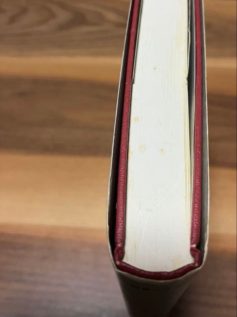 自己の分析 ハインツ・コフート