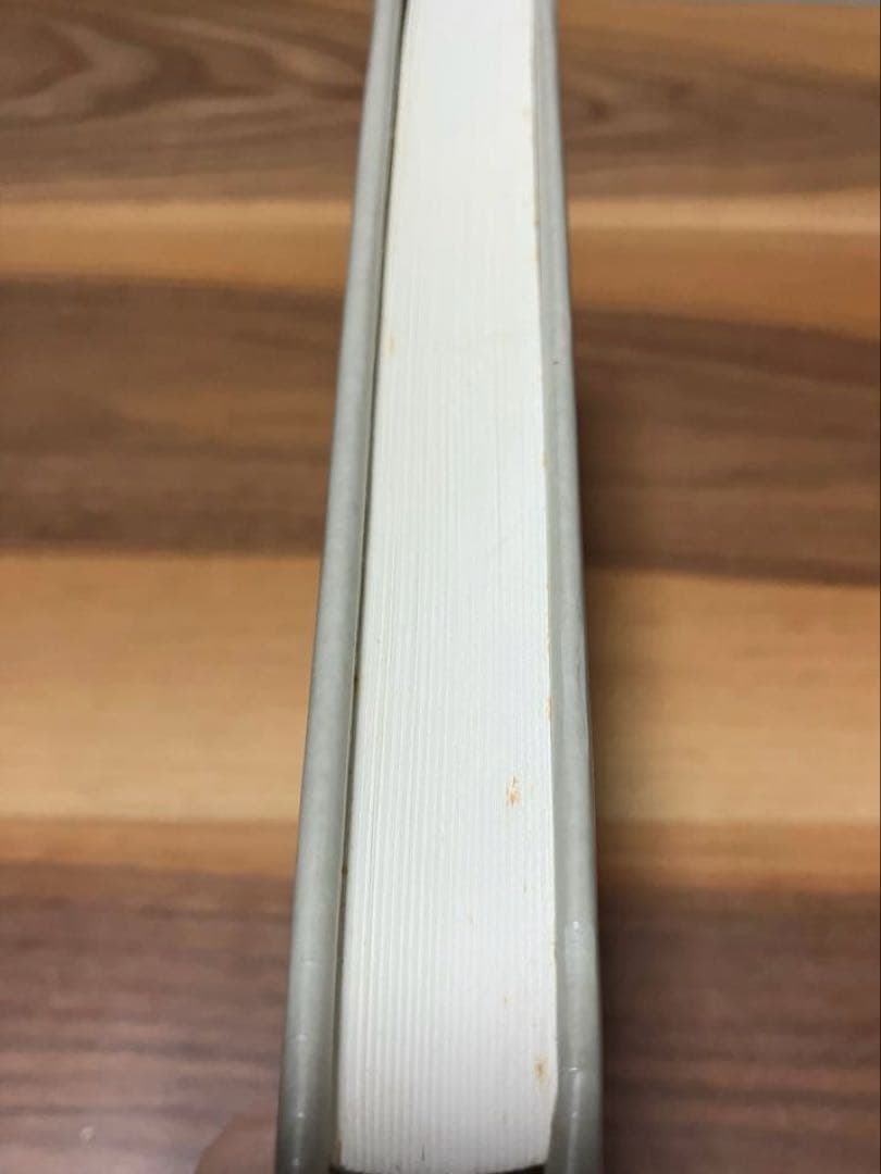 自己の分析 ハインツ・コフート