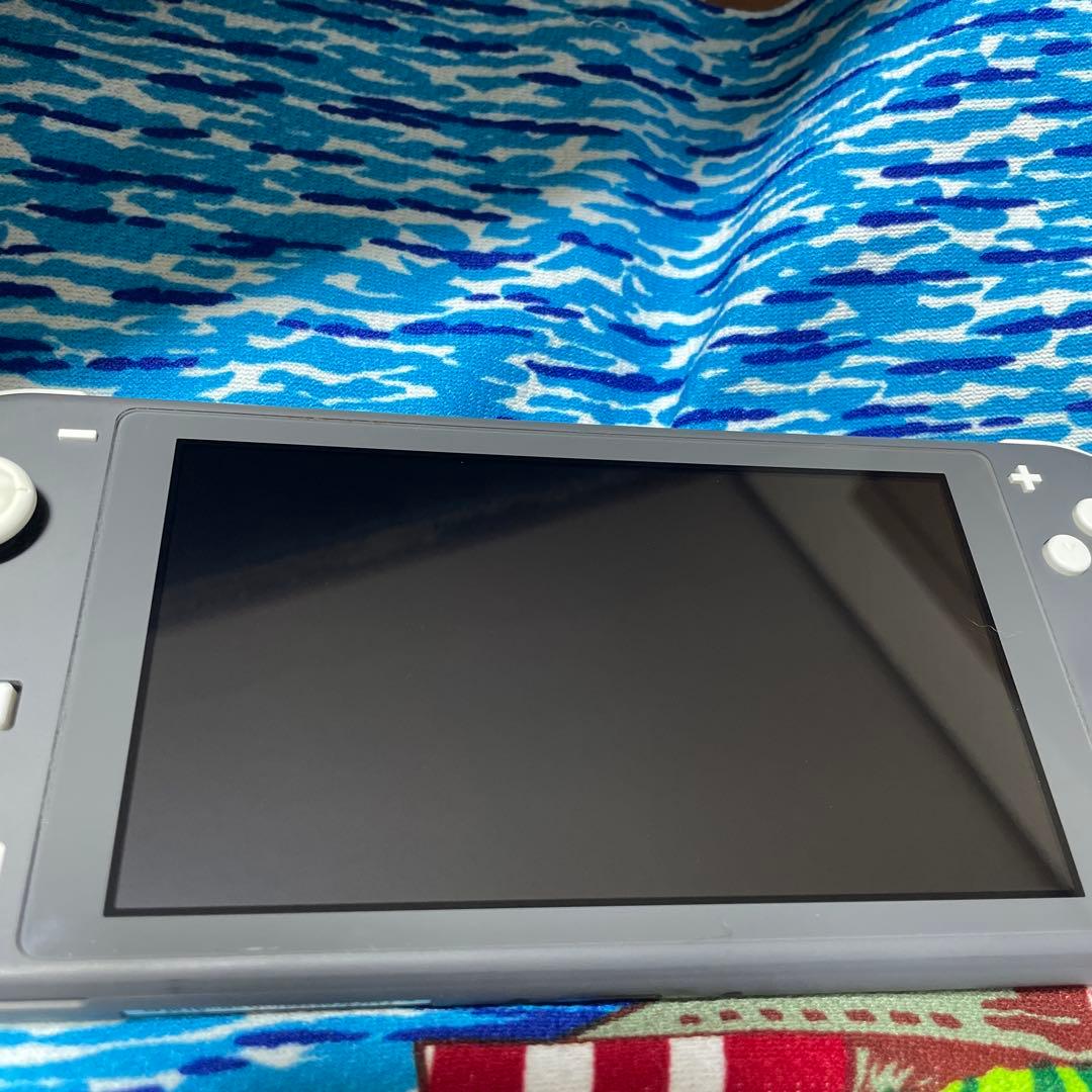 Nintendo Switch Lite グレー 本体　スプラ2ソフト付き