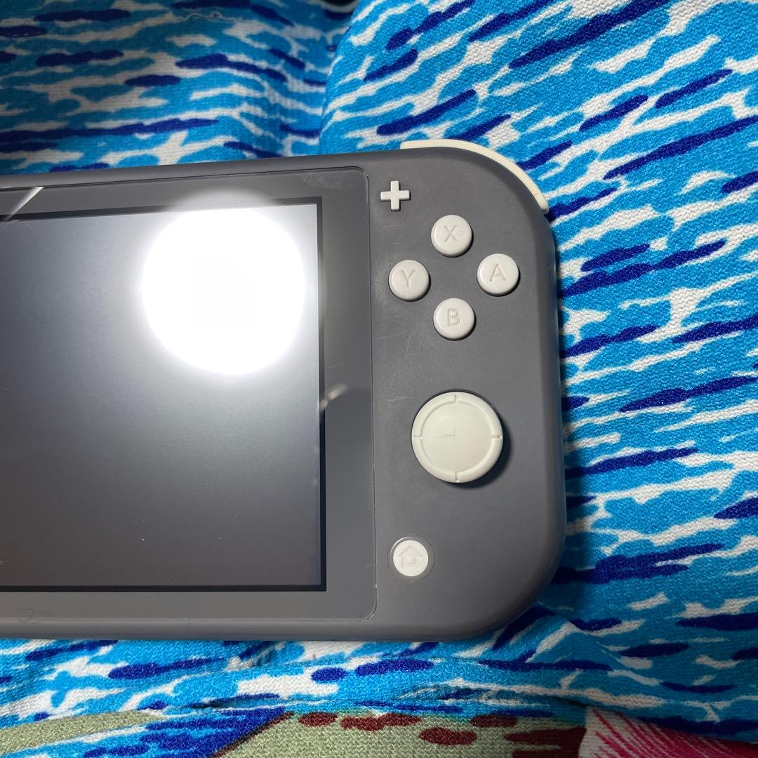 Nintendo Switch Lite グレー 本体　スプラ2ソフト付き