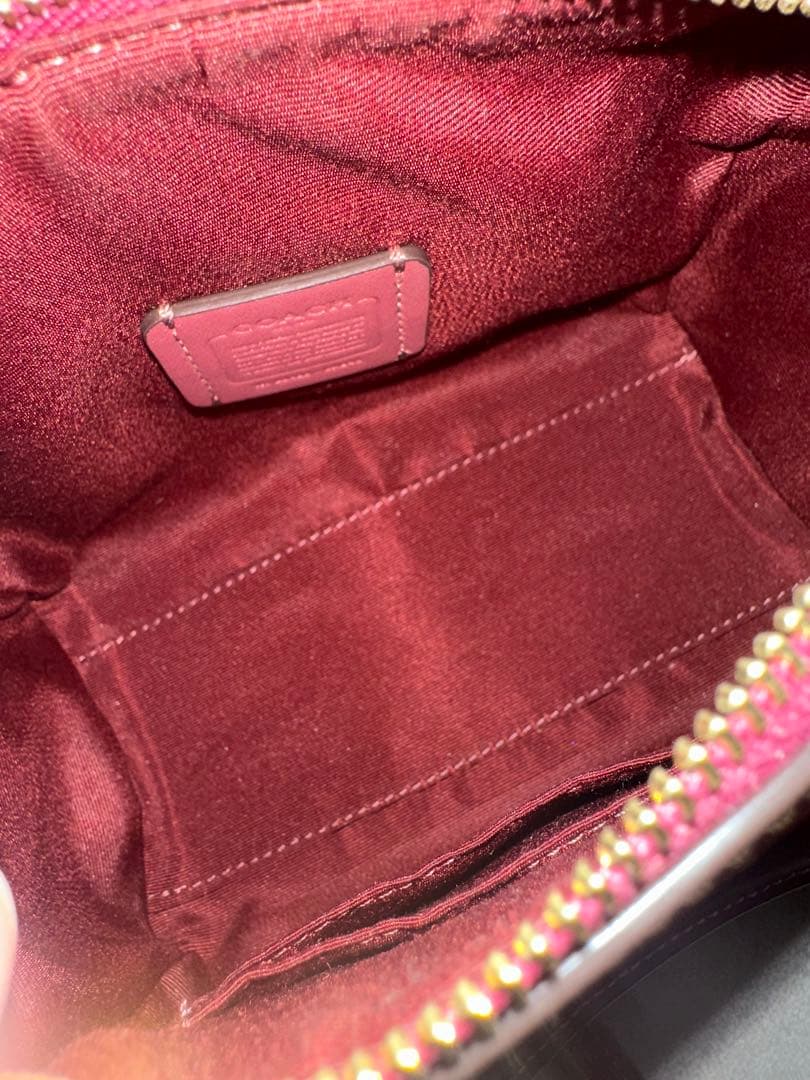 マーブル☆COACH コーチ チェリー クロスボディバッグ