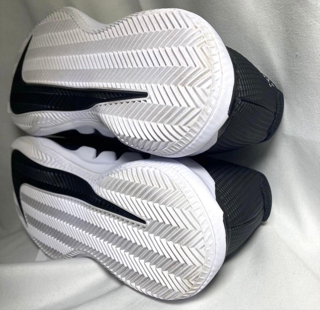 極美品 NIKE ZOOM VAPOR PRO CLY オムニクレー用 25.5