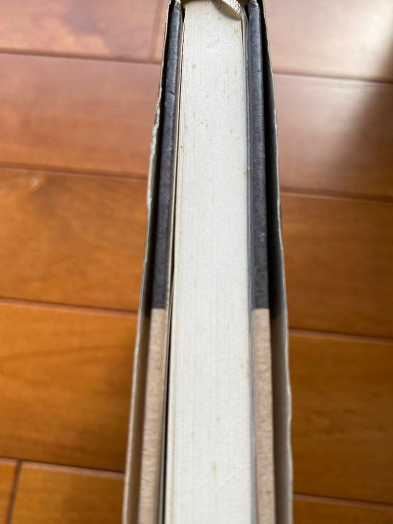 岡田睦『乳房』福武書店