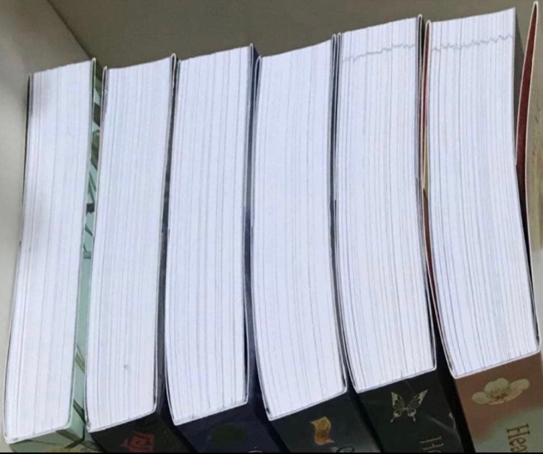 ︎（BL小説)墨香銅臭　作品　英語版 1〜2巻　6冊セット