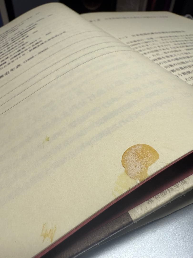 『日本近現代都市計画の展開 1868-2003』 石田頼房 自治体研究社