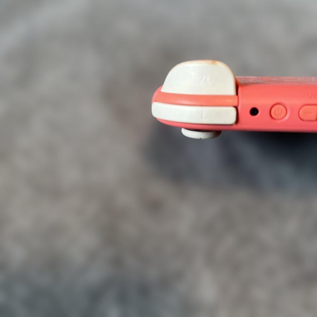 Nintendo Switch Lite どえぶつの森　しずえ