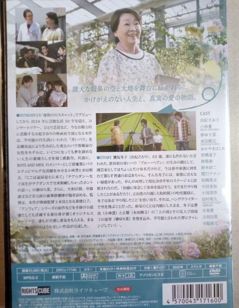 ブルーヘブンを君に DVD 新品未開封