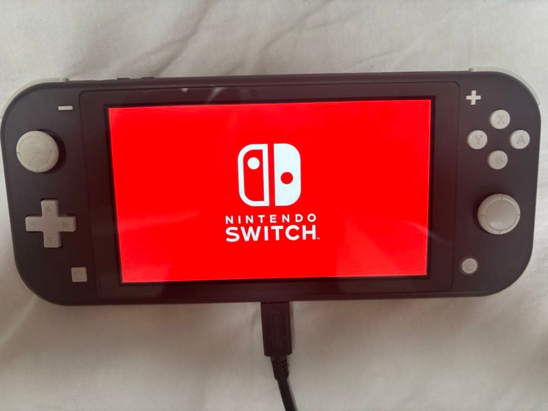 Nintendo Switch Lite グレー 充電器・外箱付き