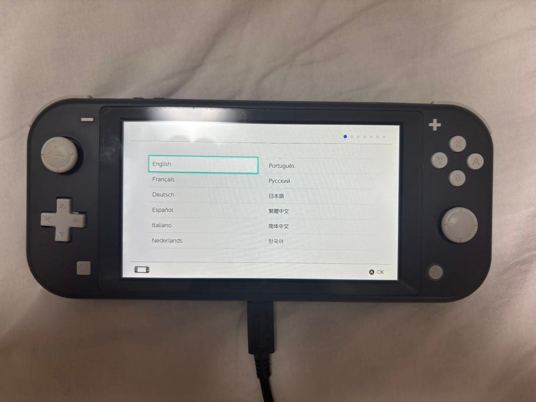 Nintendo Switch Lite グレー 充電器・外箱付き