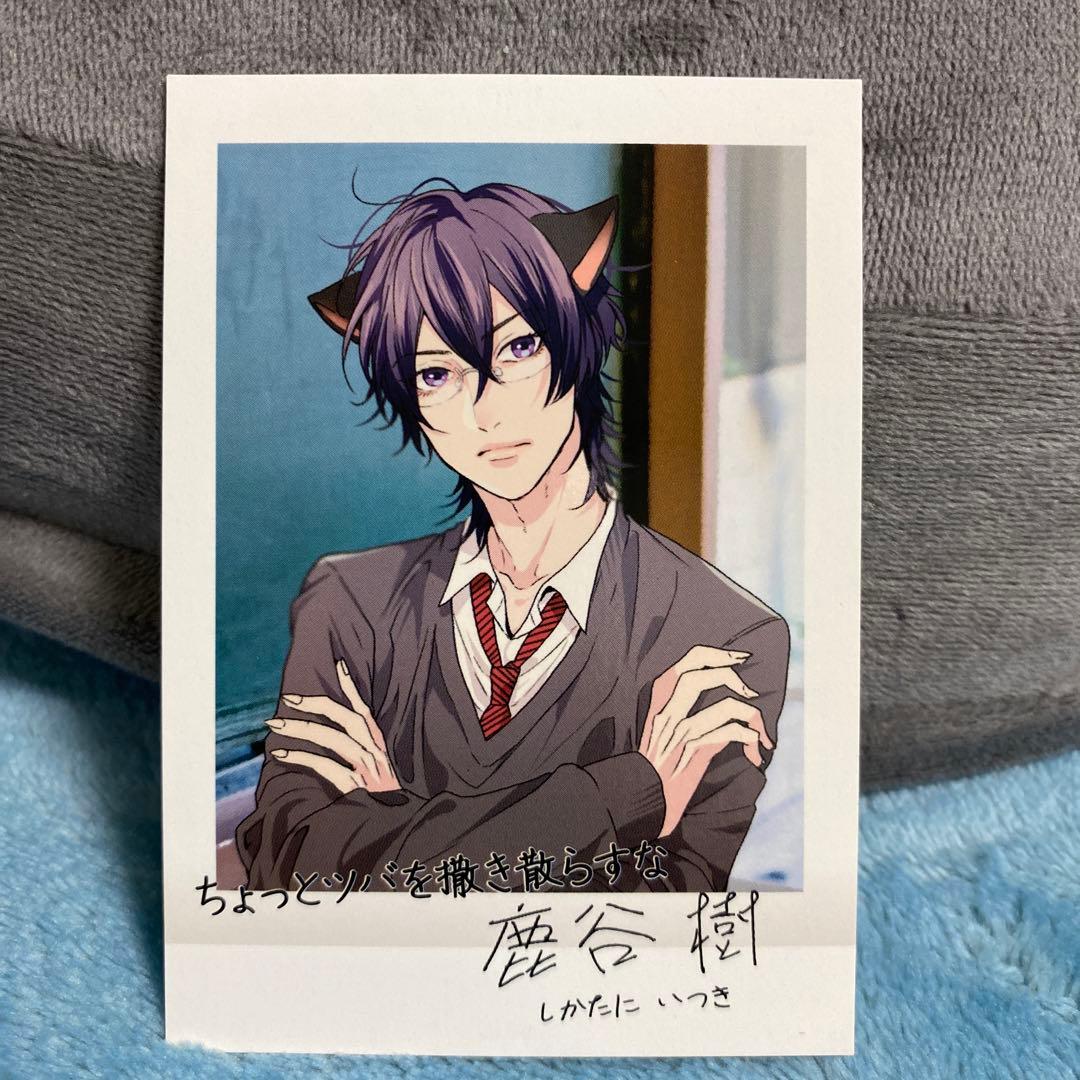 鹿谷樹 ぱしゃこれ