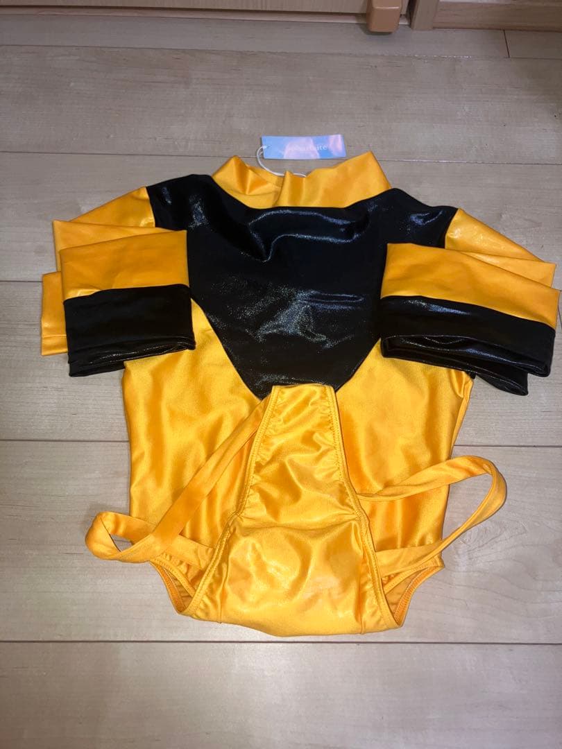 パルフェット　SHEER MESH ロングスリーブ T-BACK 中古　L