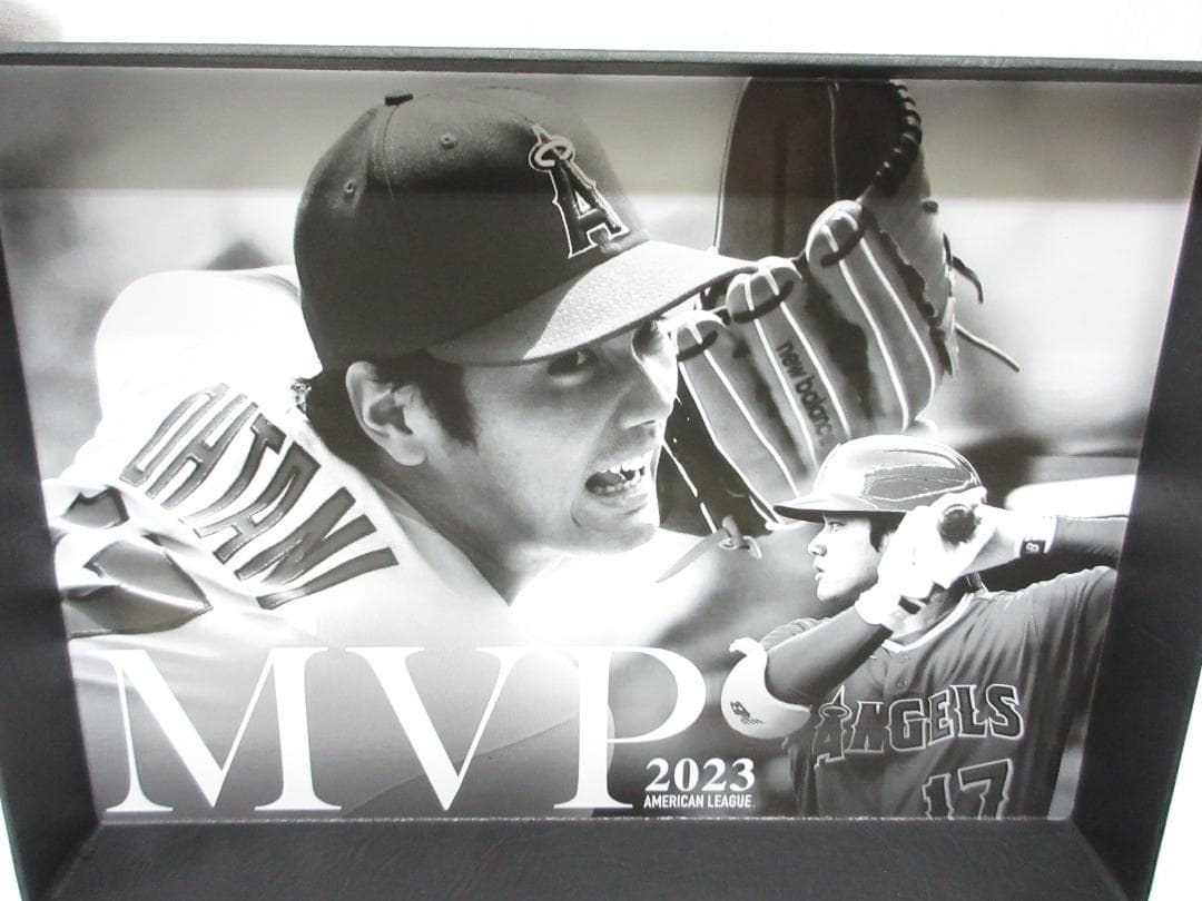 大谷翔平 2023 MVP獲得記念 Laurett's Two-Wayペン a