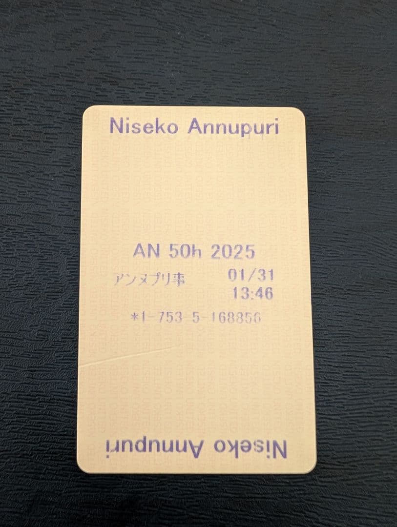 ニセコアンヌプリ　５０時間券　残り３２時間