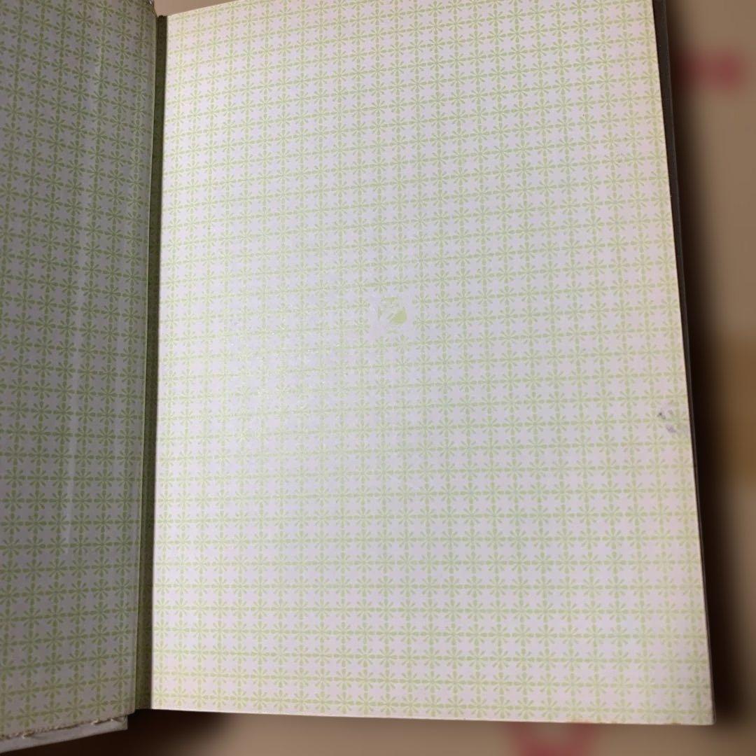 流星群のひみつ 日下実男著