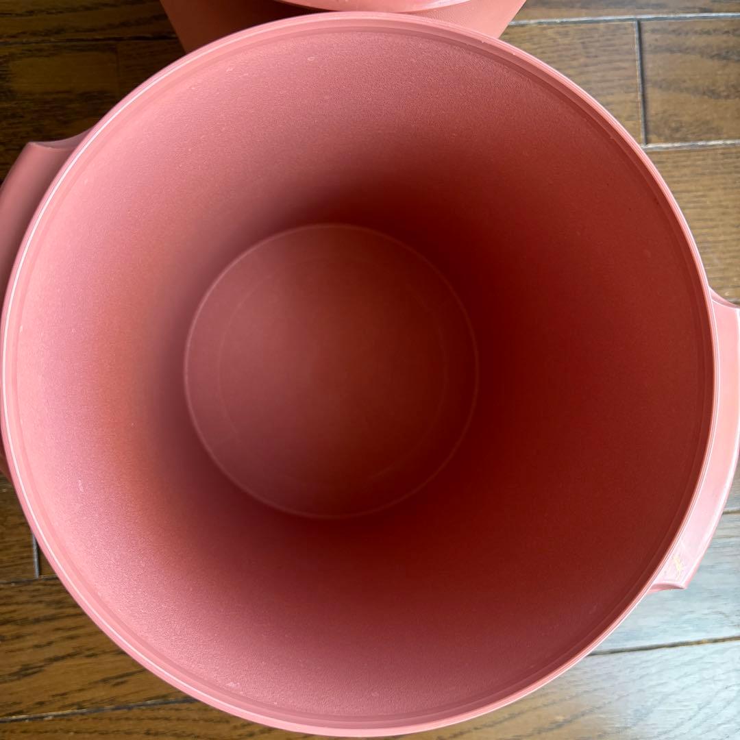 タッパーウェア マキシデコレーター2個、 梅の本