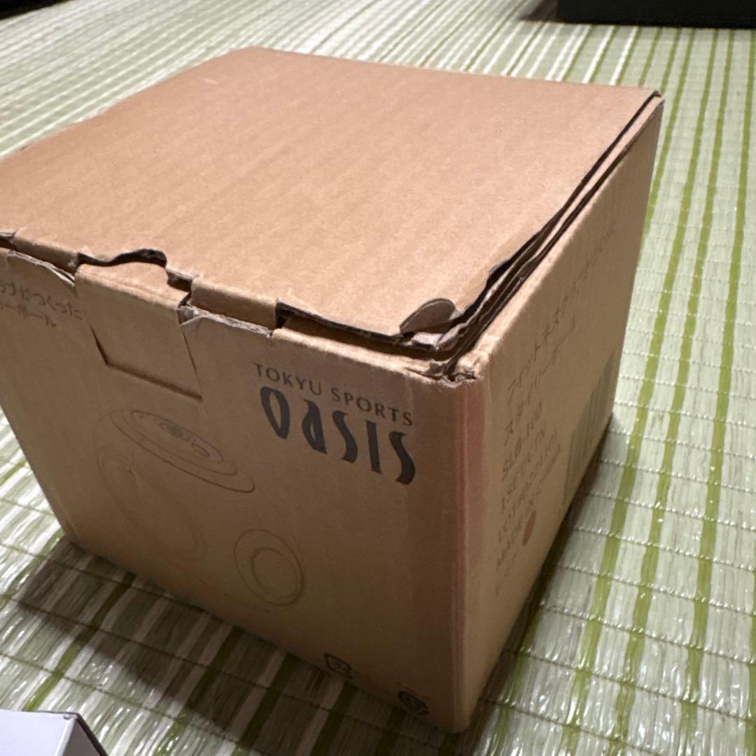 フィットネスクラブがつくった スタイリーボール 赤　レッド ストレッチ