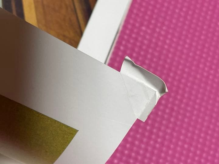 勅使河原蒼風『私の花』直筆の書『瞬』入り✨草月流　写真・土門拳