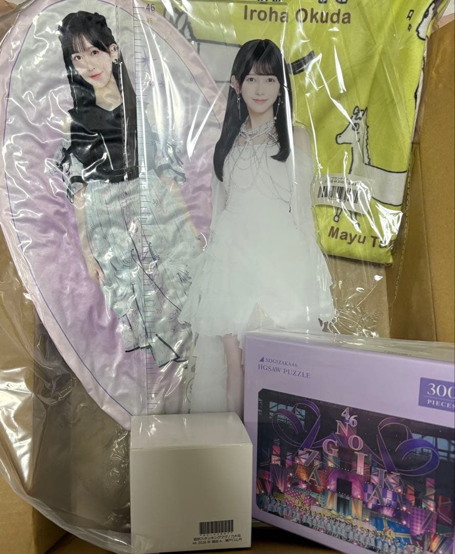 キ*ん様 池田瑛紗　未開封　乃木坂46 福袋　クッション　アクリル定規スタンド